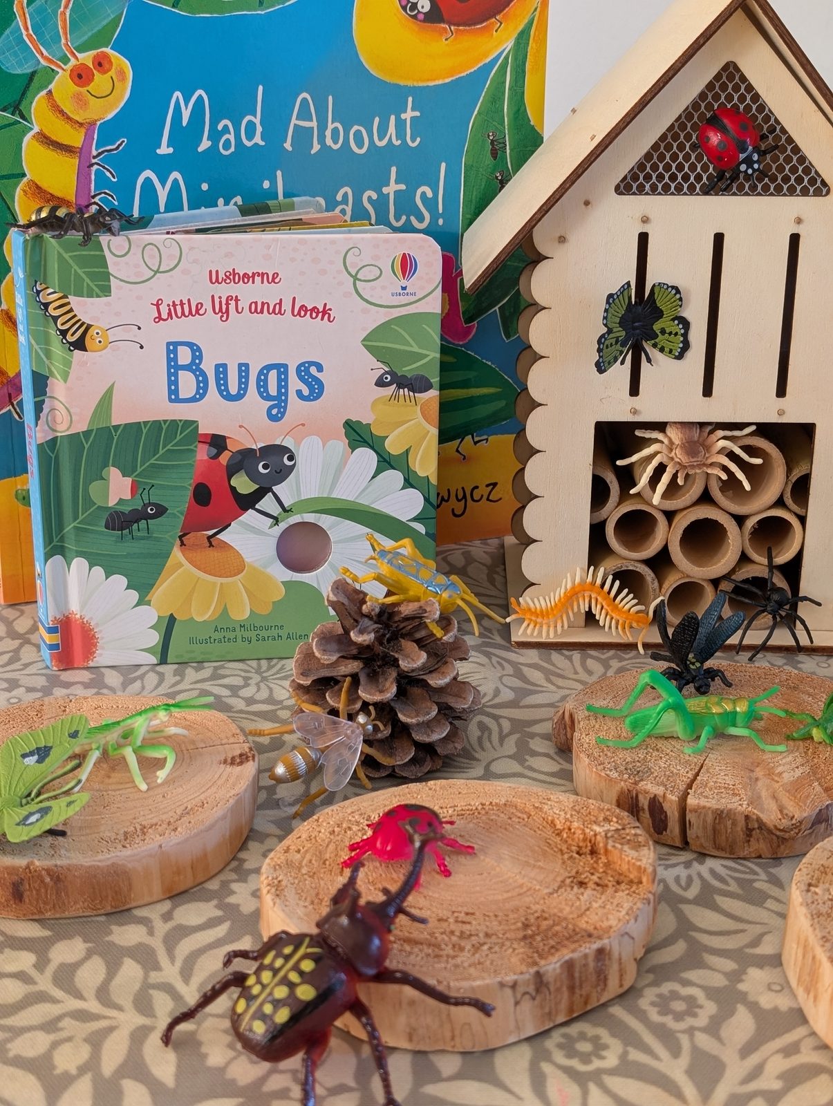 A wooden bug hotel and toy minibeasts set out beside picture books about bugs — a planned activity in our own setting